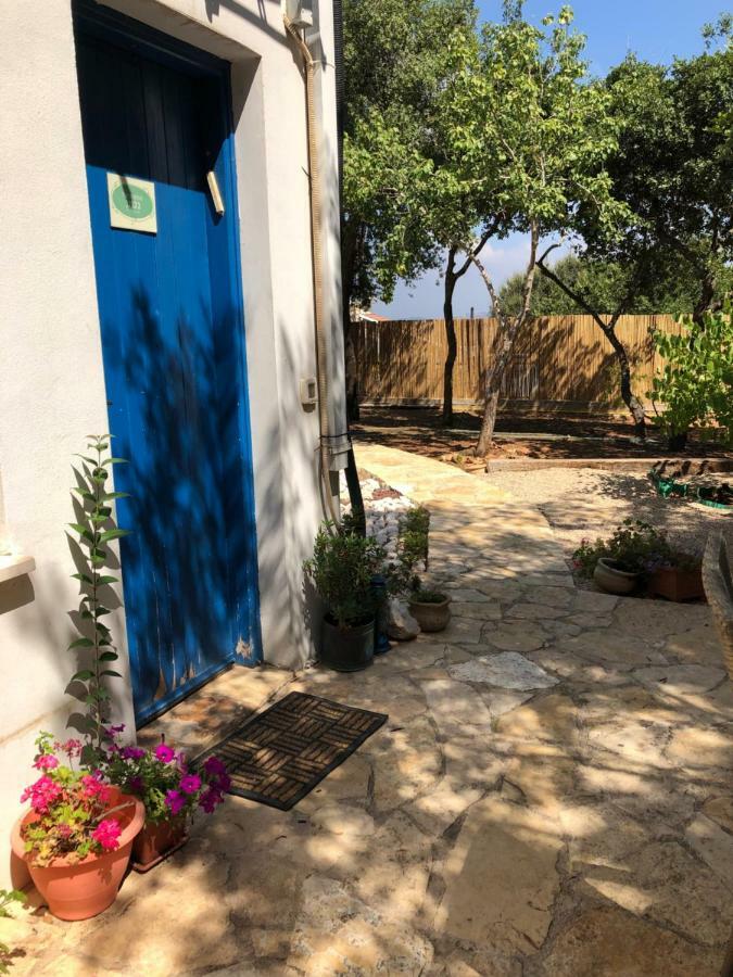 Netta'S Place Mitzpe Hila Ngoại thất bức ảnh
